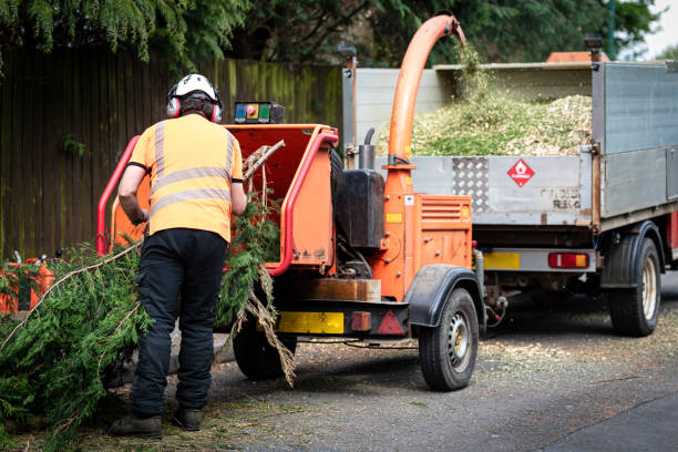 Best Lawn Watering Services  in Brandenburg, KY